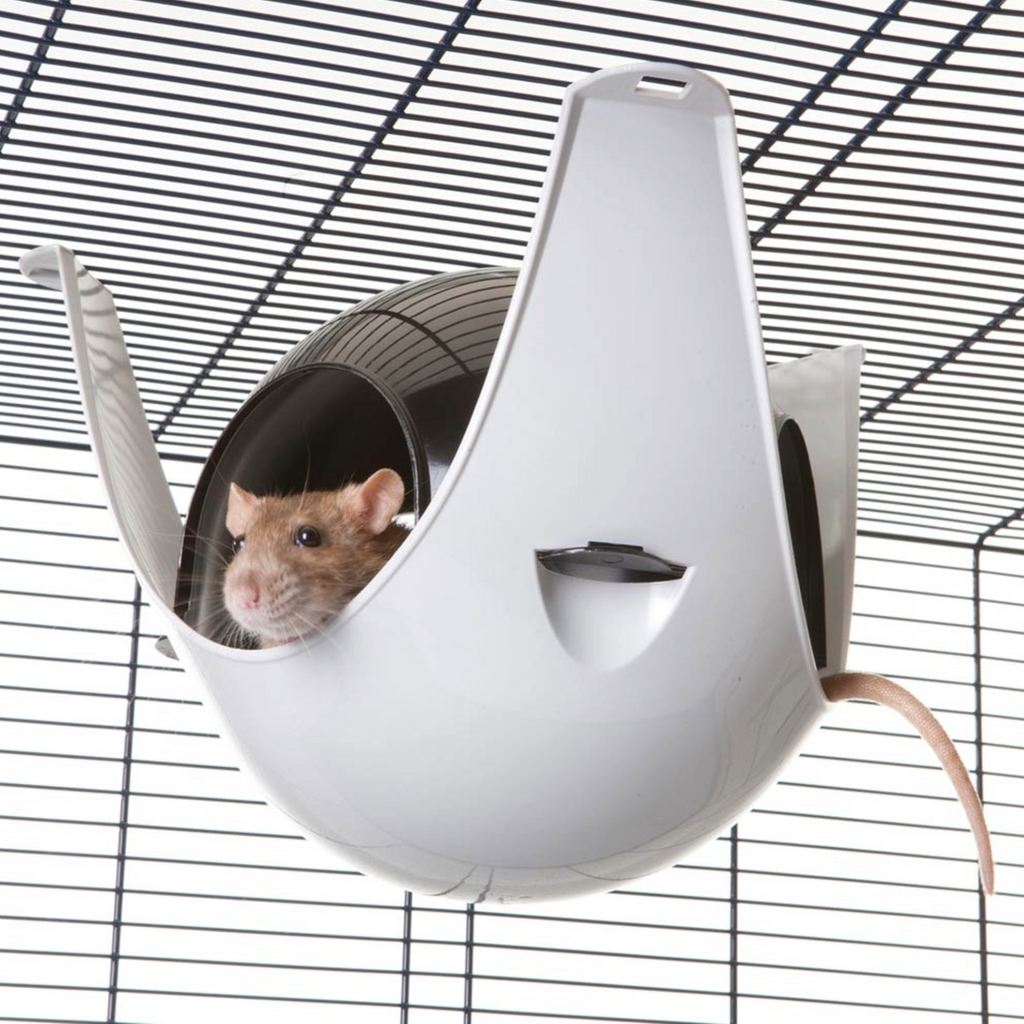 Das Bild  zeigt eine Ratte, die aus einem Sputnik schaut, eine Art Hängematte aus Plastik, die an ihren drei Beinen am Käfigdach aufgehängt werden kann. 

Bildrechte: Nobby Pet Shop GmbH 