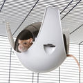 Das Bild  zeigt eine Ratte, die aus einem Sputnik schaut, eine Art Hängematte aus Plastik, die an ihren drei Beinen am Käfigdach aufgehängt werden kann. 

Bildrechte: Nobby Pet Shop GmbH 